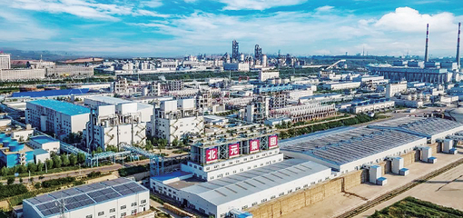 推進能源化工基地建設和生態(tài)環(huán)境保護協(xié)調發(fā)展