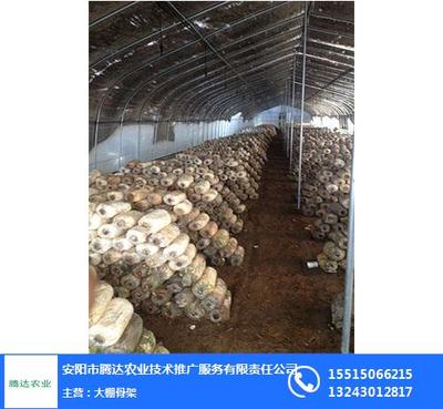 洛陽養(yǎng)殖大棚,騰達農(nóng)業(yè),養(yǎng)殖大棚建設廠家